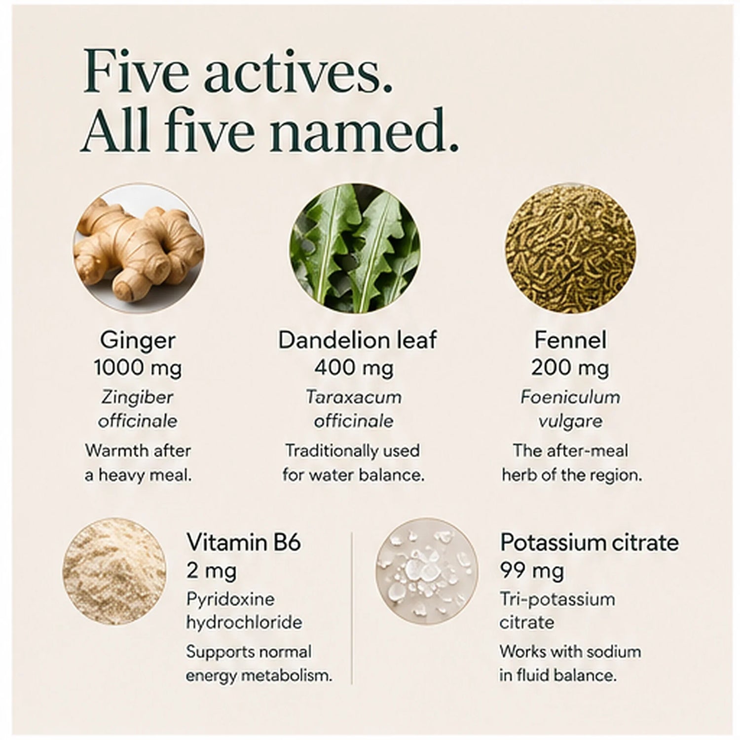 Five actives, all five named: ginger 1000 mg, dandelion leaf 400 mg, fennel 200 mg, vitamin B6 2 mg, potassium citrate 99 mg per two gummies.